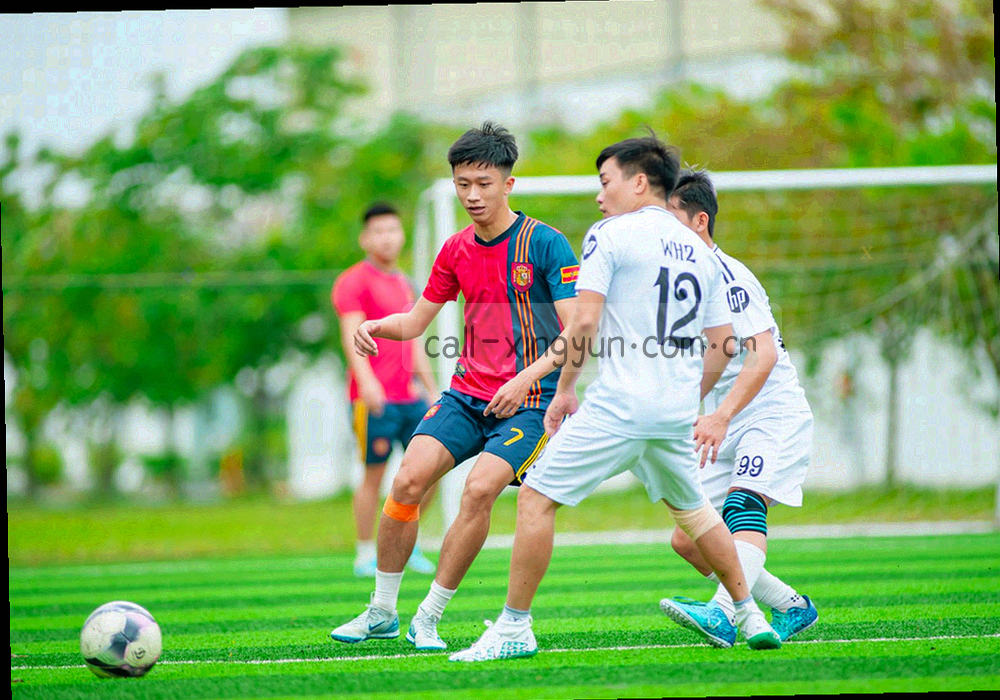 手机端杏运体育V3数据看板界面，实时显示赛事战报与本地统计图表